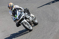 Novice Black/Silver Bikes