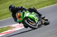 Novice Green/Yellow Bikes