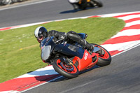 Fast/Inter Multicolour Bikes