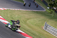 Novice Group Green/Yellow Bikes