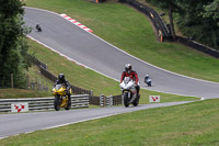 anglesey;brands-hatch;cadwell-park;croft;donington-park;enduro-digital-images;event-digital-images;eventdigitalimages;mallory;no-limits;oulton-park;peter-wileman-photography;racing-digital-images;silverstone;snetterton;trackday-digital-images;trackday-photos;vmcc-banbury-run;welsh-2-day-enduro