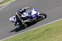 Fast Blue/White Bikes