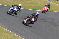 anglesey;brands-hatch;cadwell-park;croft;donington-park;enduro-digital-images;event-digital-images;eventdigitalimages;mallory;no-limits;oulton-park;peter-wileman-photography;racing-digital-images;silverstone;snetterton;trackday-digital-images;trackday-photos;vmcc-banbury-run;welsh-2-day-enduro