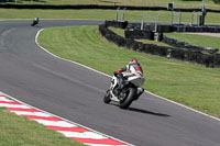 anglesey;brands-hatch;cadwell-park;croft;donington-park;enduro-digital-images;event-digital-images;eventdigitalimages;mallory;no-limits;oulton-park;peter-wileman-photography;racing-digital-images;silverstone;snetterton;trackday-digital-images;trackday-photos;vmcc-banbury-run;welsh-2-day-enduro