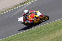 anglesey;brands-hatch;cadwell-park;croft;donington-park;enduro-digital-images;event-digital-images;eventdigitalimages;mallory;no-limits;oulton-park;peter-wileman-photography;racing-digital-images;silverstone;snetterton;trackday-digital-images;trackday-photos;vmcc-banbury-run;welsh-2-day-enduro