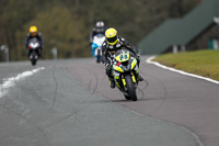 anglesey;brands-hatch;cadwell-park;croft;donington-park;enduro-digital-images;event-digital-images;eventdigitalimages;mallory;no-limits;oulton-park;peter-wileman-photography;racing-digital-images;silverstone;snetterton;trackday-digital-images;trackday-photos;vmcc-banbury-run;welsh-2-day-enduro