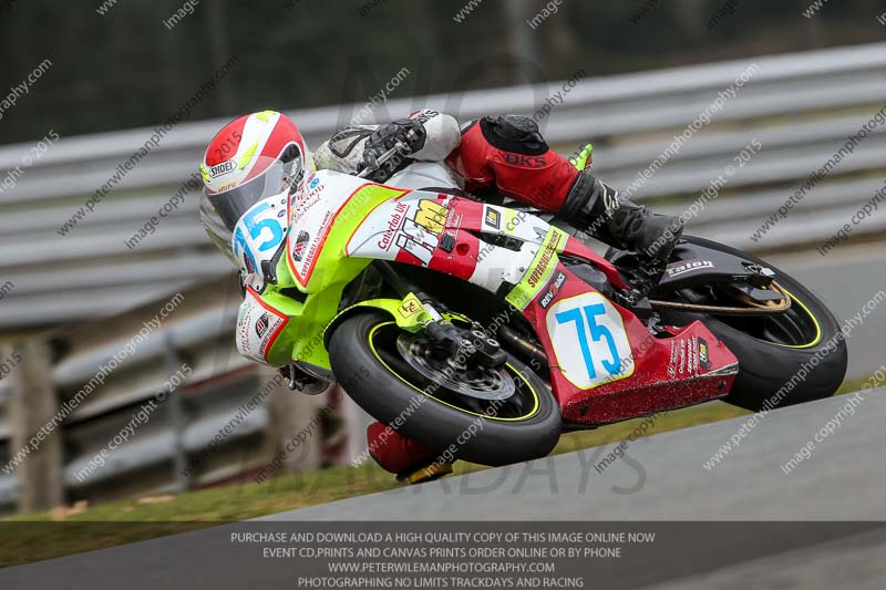 anglesey;brands hatch;cadwell park;croft;donington park;enduro digital images;event digital images;eventdigitalimages;mallory;no limits;oulton park;peter wileman photography;racing digital images;silverstone;snetterton;trackday digital images;trackday photos;vmcc banbury run;welsh 2 day enduro