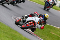 Inter Multicolour Bikes