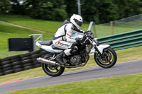 Novice Blue/White Bikes
