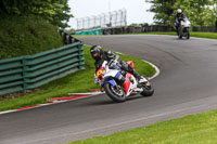 cadwell-no-limits-trackday;cadwell-park;cadwell-park-photographs;cadwell-trackday-photographs;enduro-digital-images;event-digital-images;eventdigitalimages;no-limits-trackdays;peter-wileman-photography;racing-digital-images;trackday-digital-images;trackday-photos