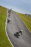 Evening Fast/Inter Black/Silver Bikes