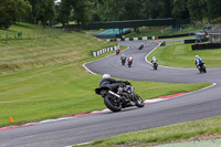 06-07-2015 Cadwell