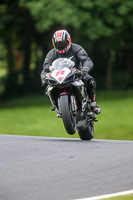 Evening Fast/Inter Black/Silver Bikes