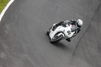 06-07-2015 Cadwell