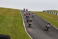 Evening Fast/Inter Multicolour Bikes