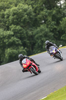 Evening Novice/Inter Red/Orange Bikes