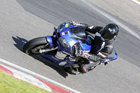 Novice Blue/White Bikes