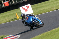 Evening Fast/Inter Blue/White Bikes