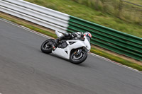 Fast Blue/White Bikes
