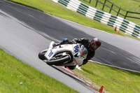 Fast Group Blue/White Bikes