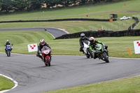 Fast Group Green/Yellow Bikes