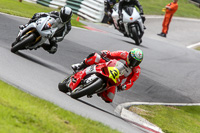 Fast Group Red/Orange Bikes