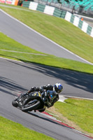 Inter Group Black/Silver Bikes