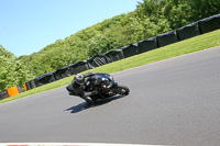 Inter Group Black/Silver Bikes