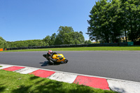 Inter Group Green/Yellow Bikes