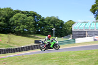 Novice Group Green/Yellow Bikes