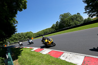 Novice Group Green/Yellow Bikes