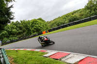 Fast Group Black/Silver Bikes