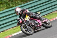 Fast Group Green/Yellow Bikes