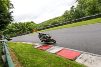 Inter Group Black/Silver Bikes