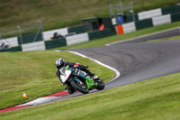 Inter Group Green/Yellow Bikes