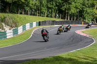 cadwell-no-limits-trackday;cadwell-park;cadwell-park-photographs;cadwell-trackday-photographs;enduro-digital-images;event-digital-images;eventdigitalimages;no-limits-trackdays;peter-wileman-photography;racing-digital-images;trackday-digital-images;trackday-photos