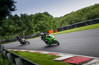 Novice Group Green/Yellow Bikes
