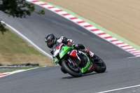 Fast Group Green/Yellow Bikes