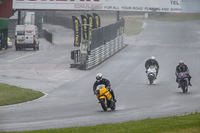 Inter Group Green/Yellow Bikes
