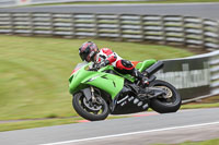 Fast Group Green/Yellow Bikes