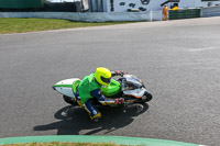 Acu Group Green/Yellow Bikes