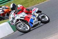 enduro-digital-images;event-digital-images;eventdigitalimages;mallory-park;mallory-park-photographs;mallory-park-trackday;mallory-park-trackday-photographs;no-limits-trackdays;peter-wileman-photography;racing-digital-images;trackday-digital-images;trackday-photos