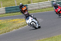 enduro-digital-images;event-digital-images;eventdigitalimages;mallory-park;mallory-park-photographs;mallory-park-trackday;mallory-park-trackday-photographs;no-limits-trackdays;peter-wileman-photography;racing-digital-images;trackday-digital-images;trackday-photos