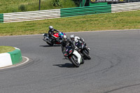 enduro-digital-images;event-digital-images;eventdigitalimages;mallory-park;mallory-park-photographs;mallory-park-trackday;mallory-park-trackday-photographs;no-limits-trackdays;peter-wileman-photography;racing-digital-images;trackday-digital-images;trackday-photos