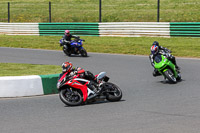 enduro-digital-images;event-digital-images;eventdigitalimages;mallory-park;mallory-park-photographs;mallory-park-trackday;mallory-park-trackday-photographs;no-limits-trackdays;peter-wileman-photography;racing-digital-images;trackday-digital-images;trackday-photos