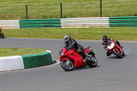 enduro-digital-images;event-digital-images;eventdigitalimages;mallory-park;mallory-park-photographs;mallory-park-trackday;mallory-park-trackday-photographs;no-limits-trackdays;peter-wileman-photography;racing-digital-images;trackday-digital-images;trackday-photos
