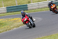 enduro-digital-images;event-digital-images;eventdigitalimages;mallory-park;mallory-park-photographs;mallory-park-trackday;mallory-park-trackday-photographs;no-limits-trackdays;peter-wileman-photography;racing-digital-images;trackday-digital-images;trackday-photos