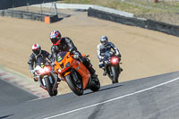 Novice Group Red/Orange Bikes