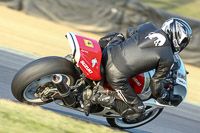 Evening Fast/Inter Blue/White Bikes