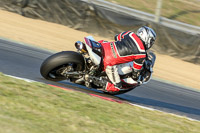 Evening Fast/Inter Multicolour Bikes